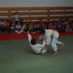 judo8